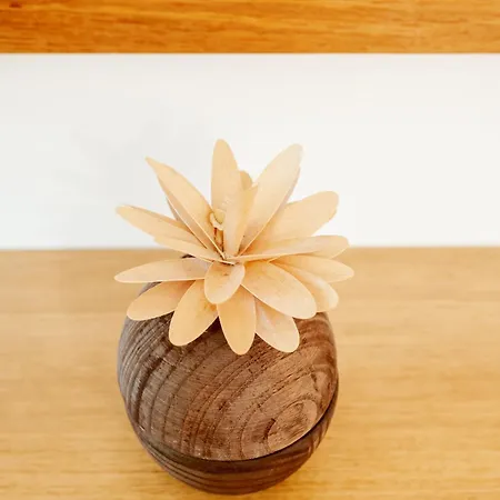 公寓 Simplistic In Near Lido